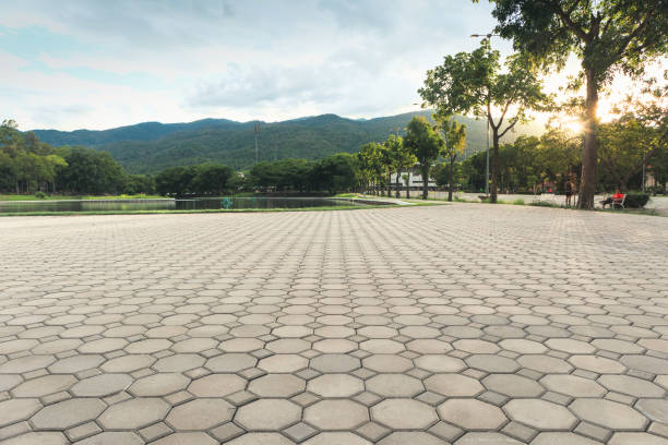 Best Driveway Pavers Near Me  in Oak Ridge, TN
