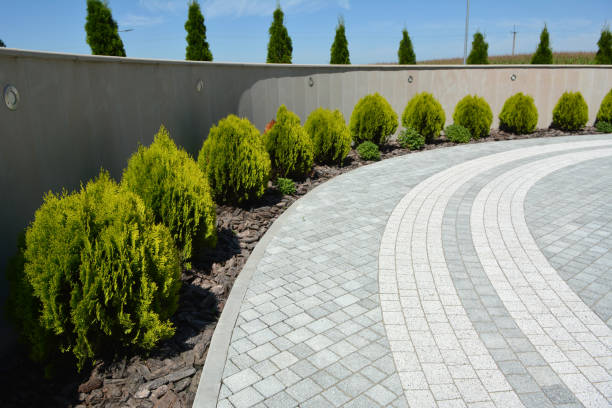 Best Residential Paver Driveway  in Oak Ridge, TN
